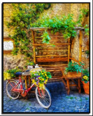 Florist Bike  