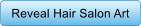 Reveal Hair Salon Art