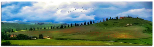 Tuscan Landscape  