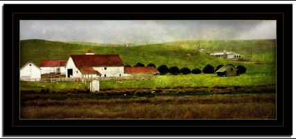 Valley Ford Farm - Textured Image