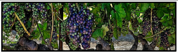 Stained Glass Grapes