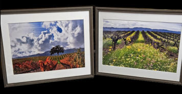 16x20 Wood framed Vineyard Scenes  (price is for one)