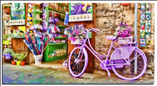 The Violet Bicycle 