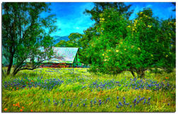 Lupine and Poppies - Textured Image