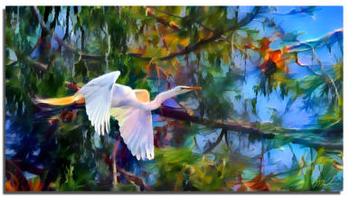 Egret in Flight