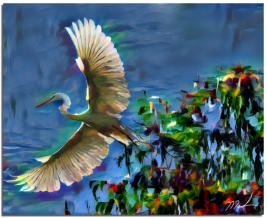 Great Winged Egret