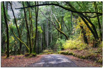 Sweet Water Springs Road