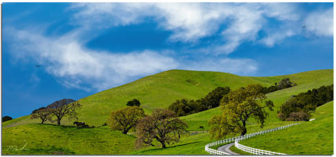 White Fence Ranch-Petaluma