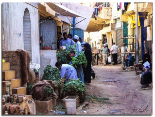 Preparation - Cairo