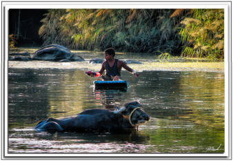 In The Nile River