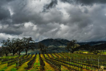 Rain Clouds & Orange Zest