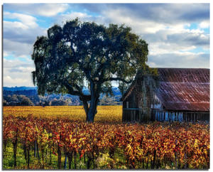 Fall Barn, Eastside Rd