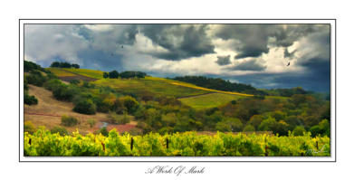 Painted Vineyards