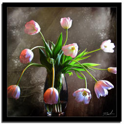 Tulips Squared    (this piece looks great on metal too)