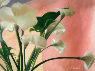 Horizontal Art Calla's  24x36 on canvas 