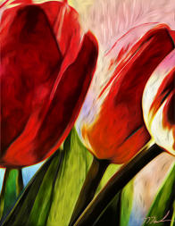 Brushed Tulips 16x20 on canvas