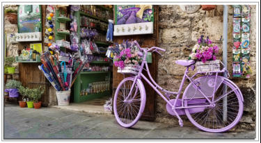 Violet Bicycle 